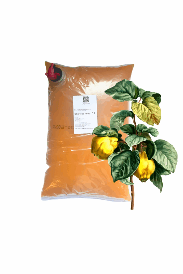 Sok z pigwowca 100 %